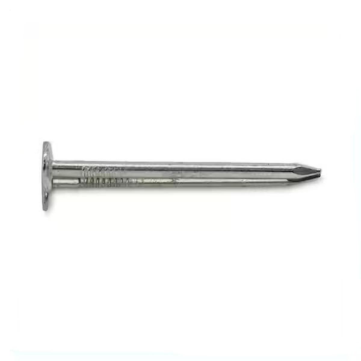 2-in Electro Galvanized Roofing Nails Smooth 5-Lb