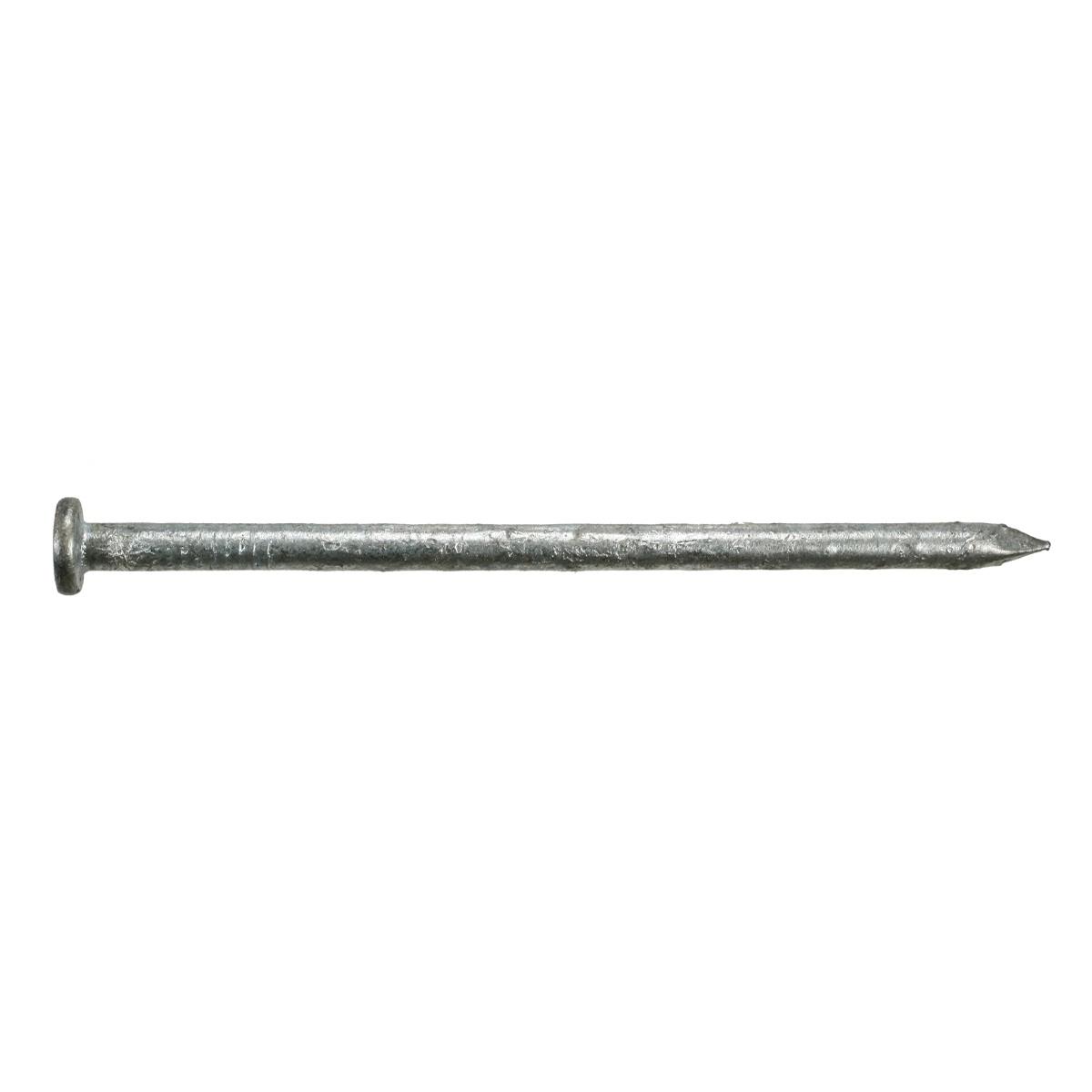 16D X 3-1/2In Hdg Nail - 40Ct16Dhdg-R