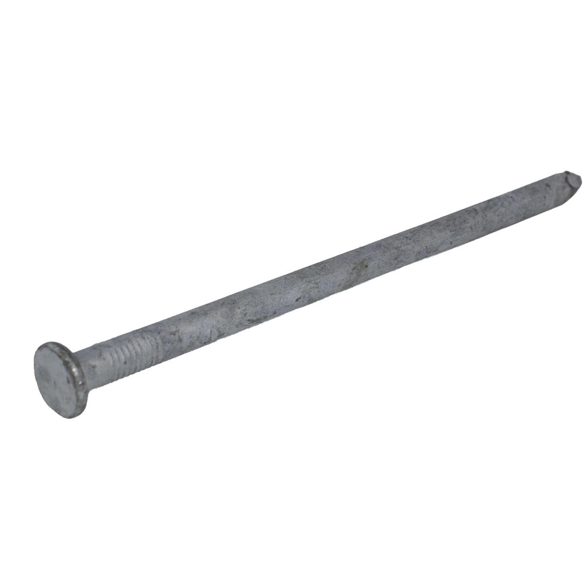 8-in Spike Nails Galvanized  Each