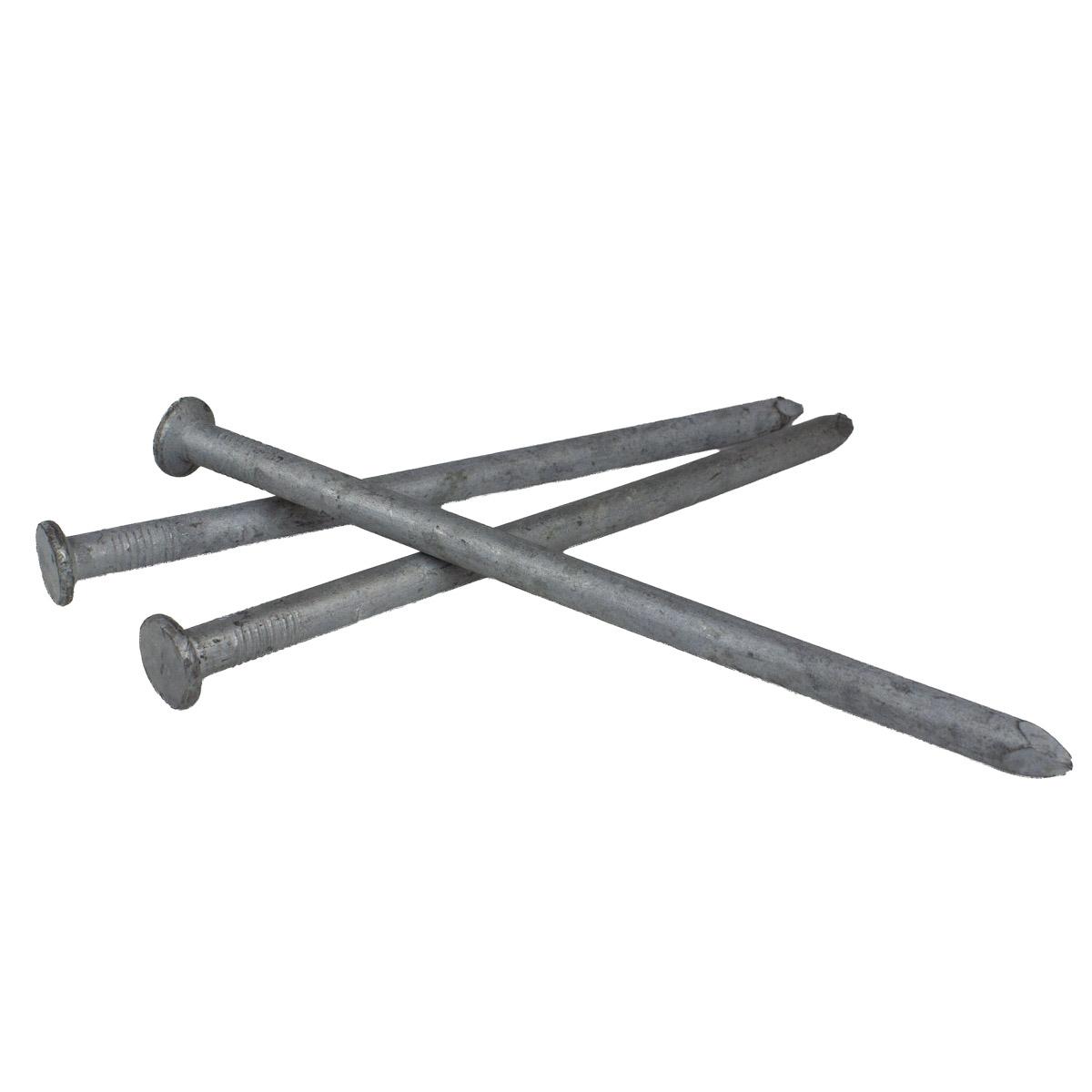 8-in Spike Nails Galvanized  Each Alt #1
