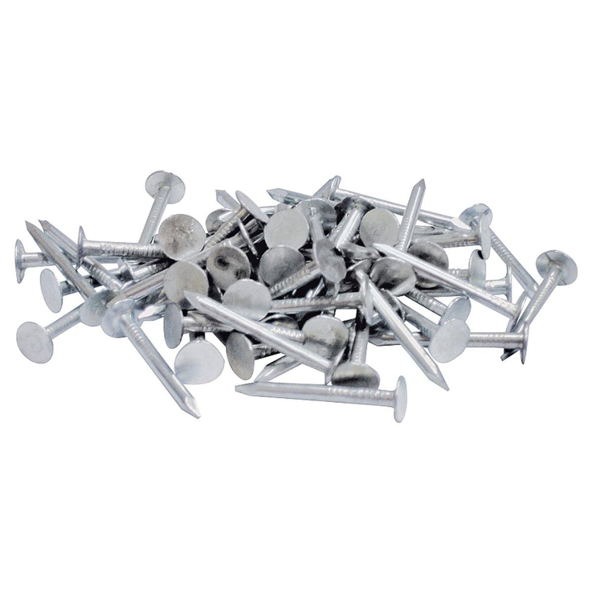 Orgill Bulk Nails 50111680 Roofing Nail, 2 in L