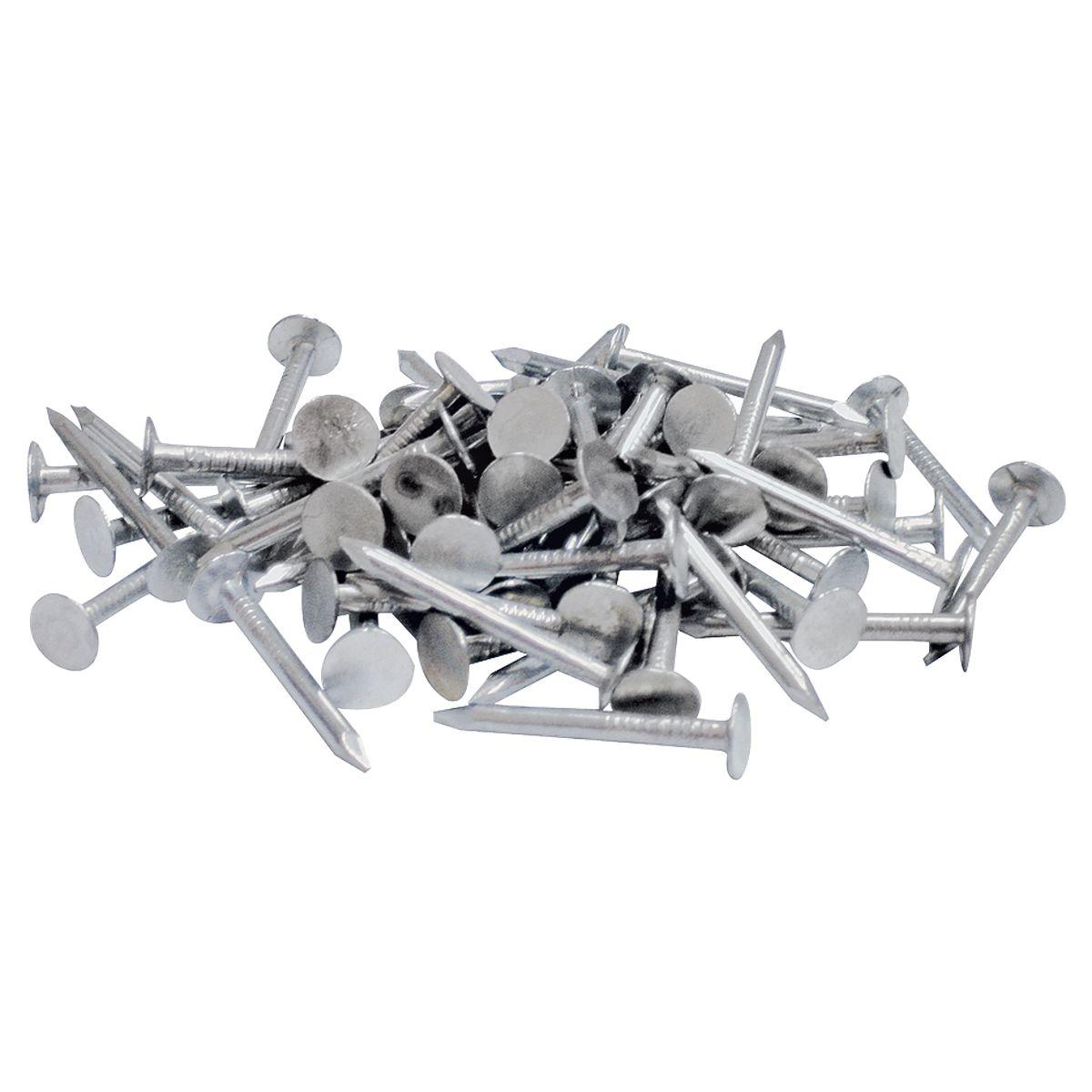 NAIL ROOF GALV 1LB BOX 2" 69138