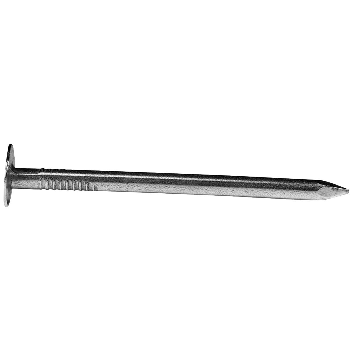NAIL ROOF GALV 5LB BOX 2"