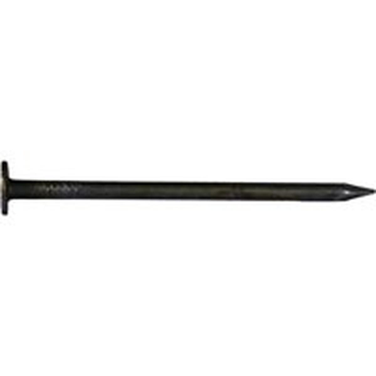 NAIL CC DRYWALL 5LB  1-3/8"    3
