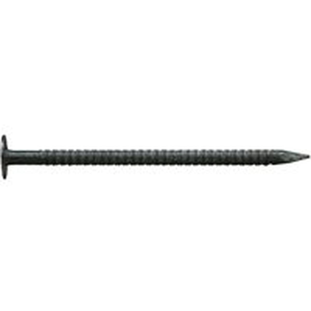NAIL RS  DRYWALL 5LB 1-3/8"   00