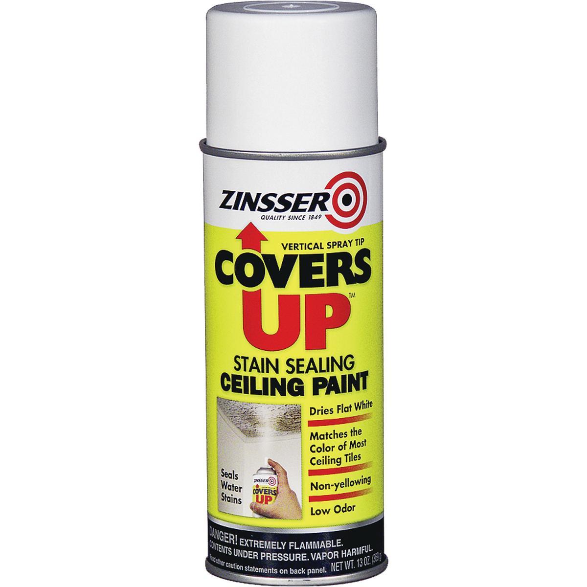 COVERS UP CEILING SPRAY