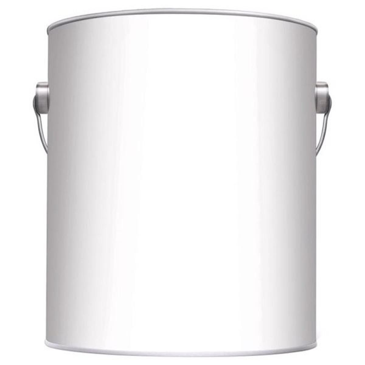 Gallon Empty Paint Can W/Lid