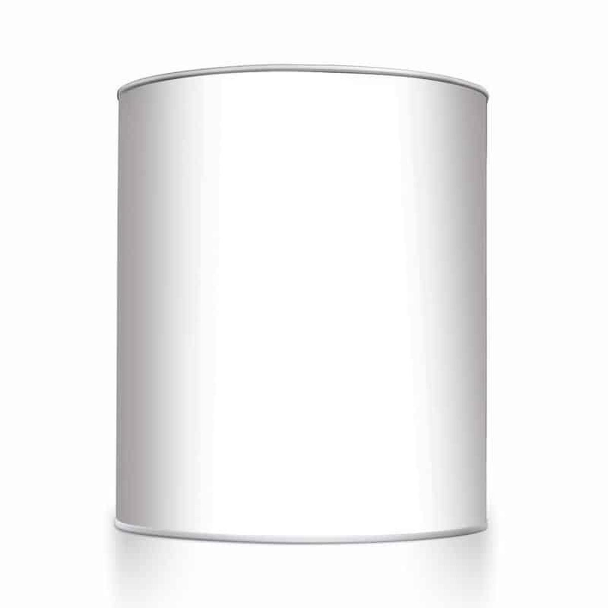 Quart Empty Paint Pail With Lid