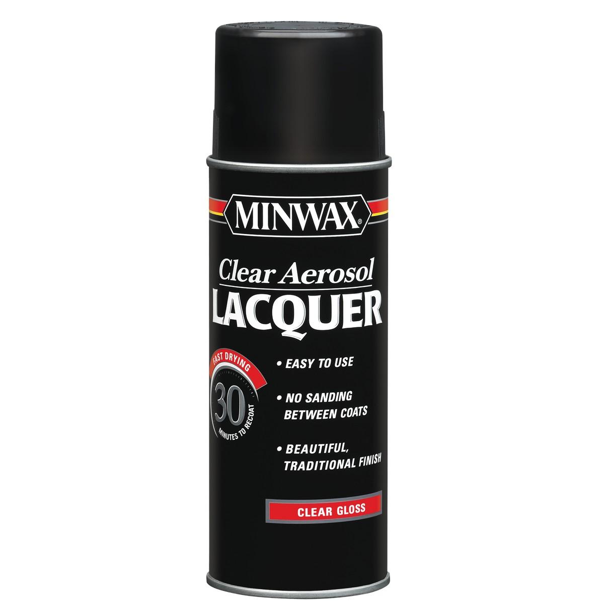 12-Oz Lacquer Spray Gloss Interior Finish