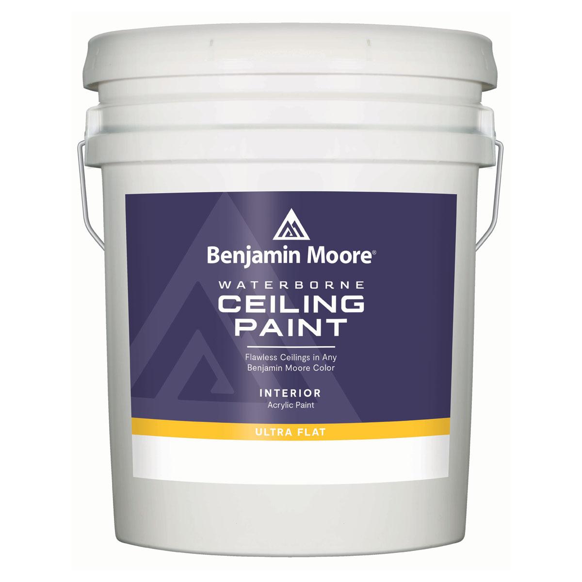 Waterborne Ultra Flat Ceiling Paint White 5 Gallon