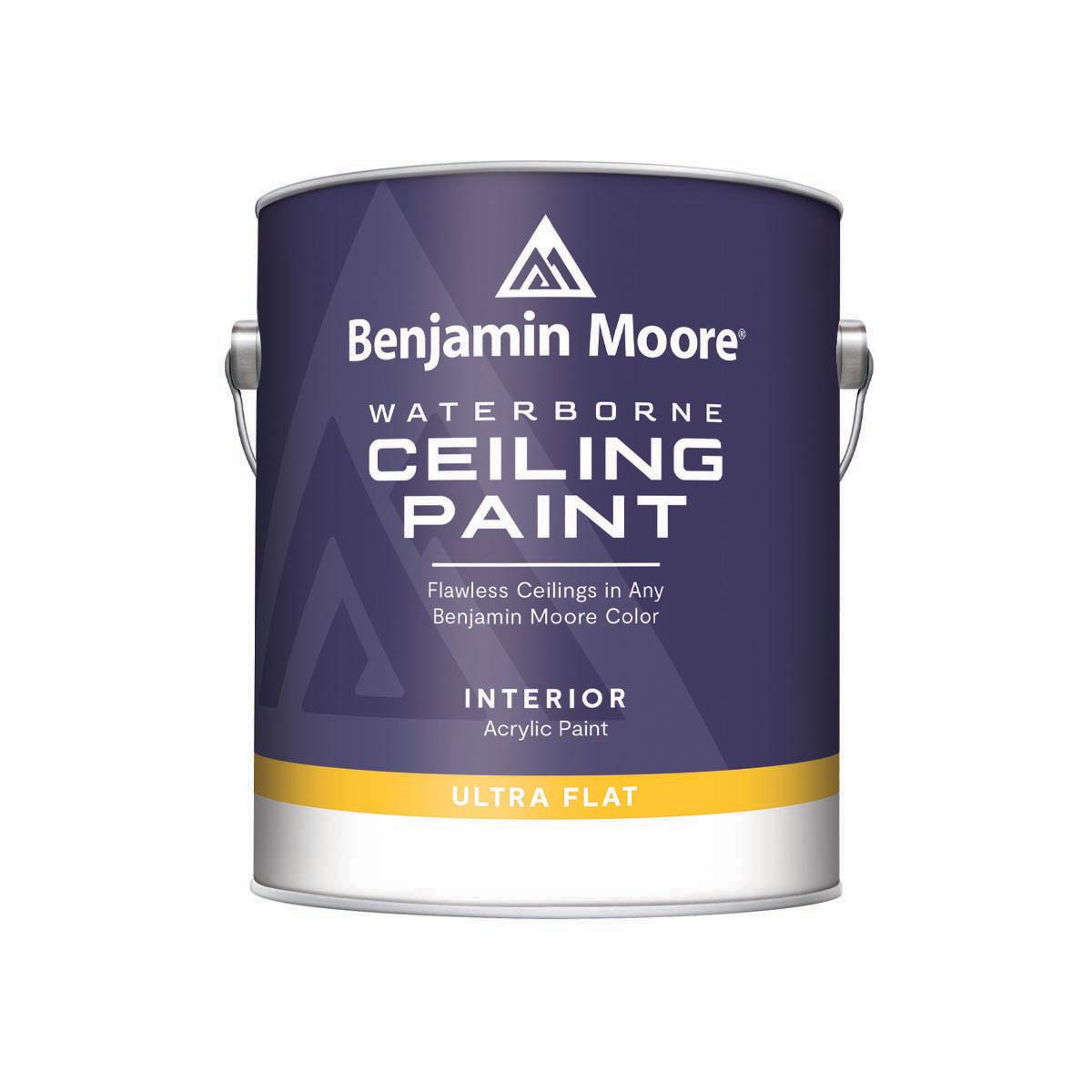 Waterborne Ultra Flat Ceiling Paint White 1 Gallon