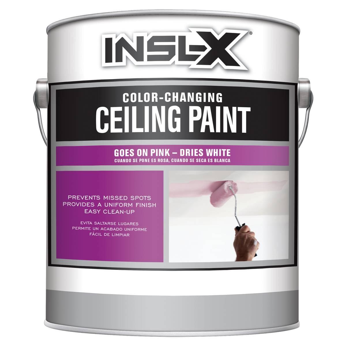 Insl-X Cl Chge Ceil -White  Gl