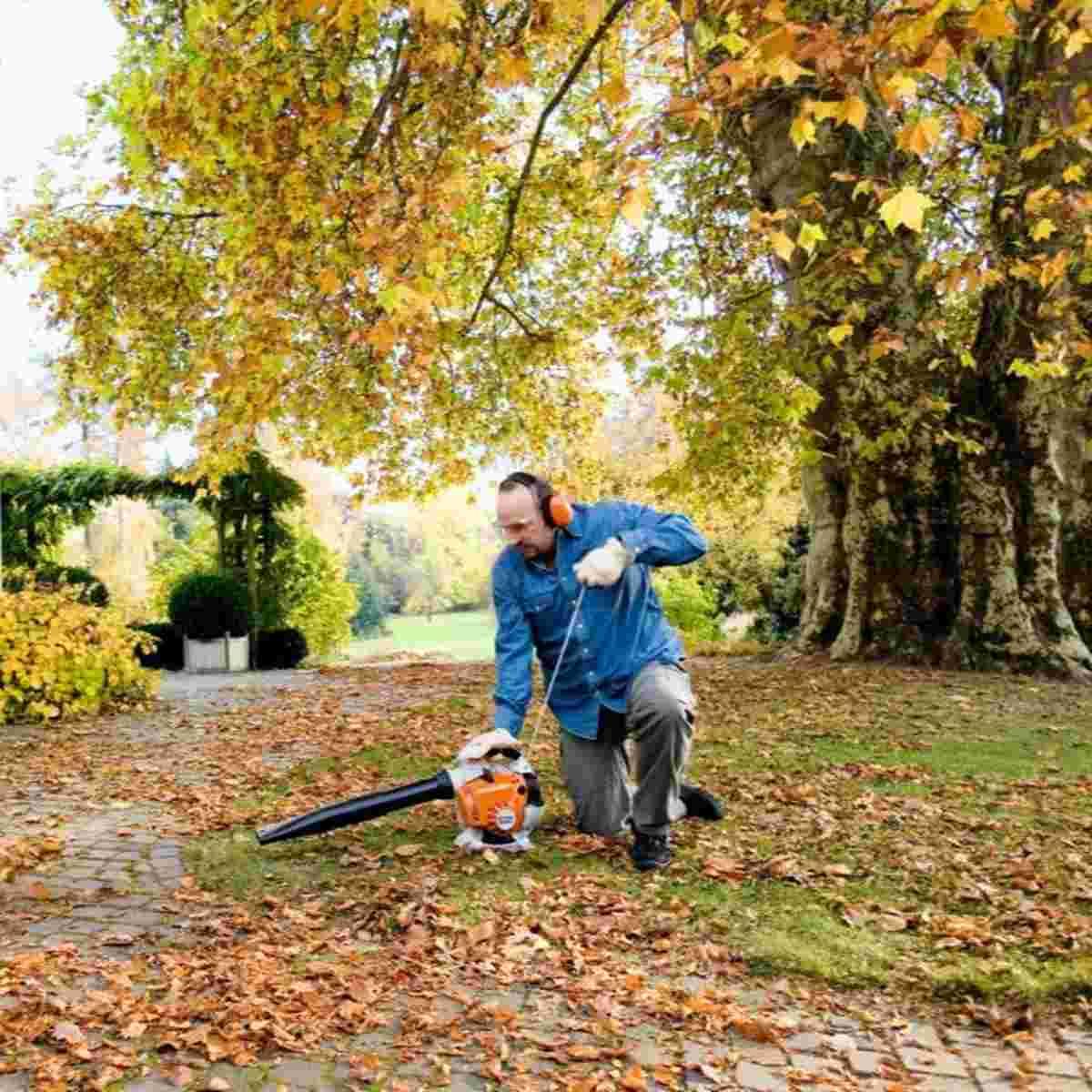 BG 86 C-E 27.2cc Gas-Powered Handheld Blower with Easy2Start Alt #1