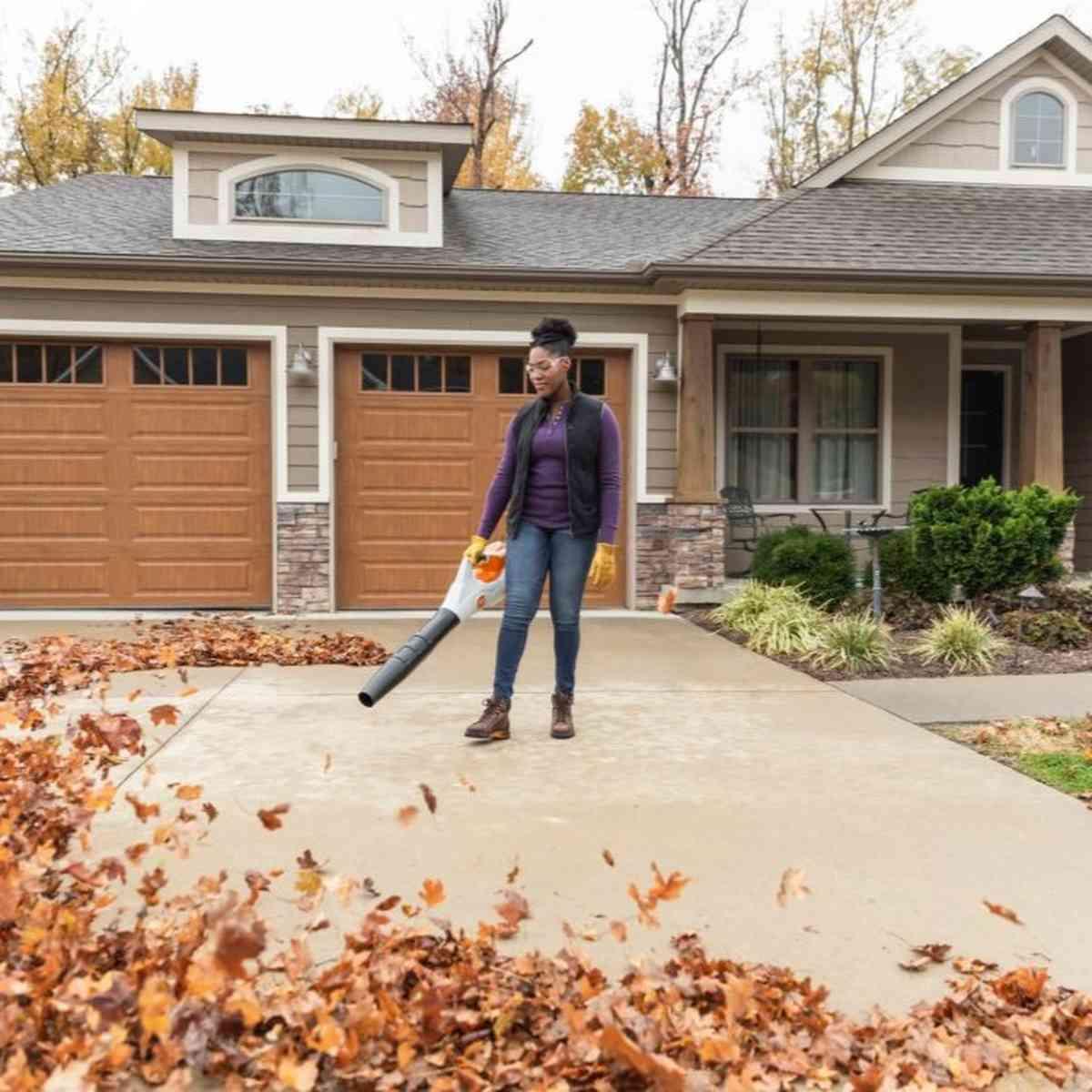 BGA 86 36V AP Battery Powered Blower (Tool Only) Alt #1