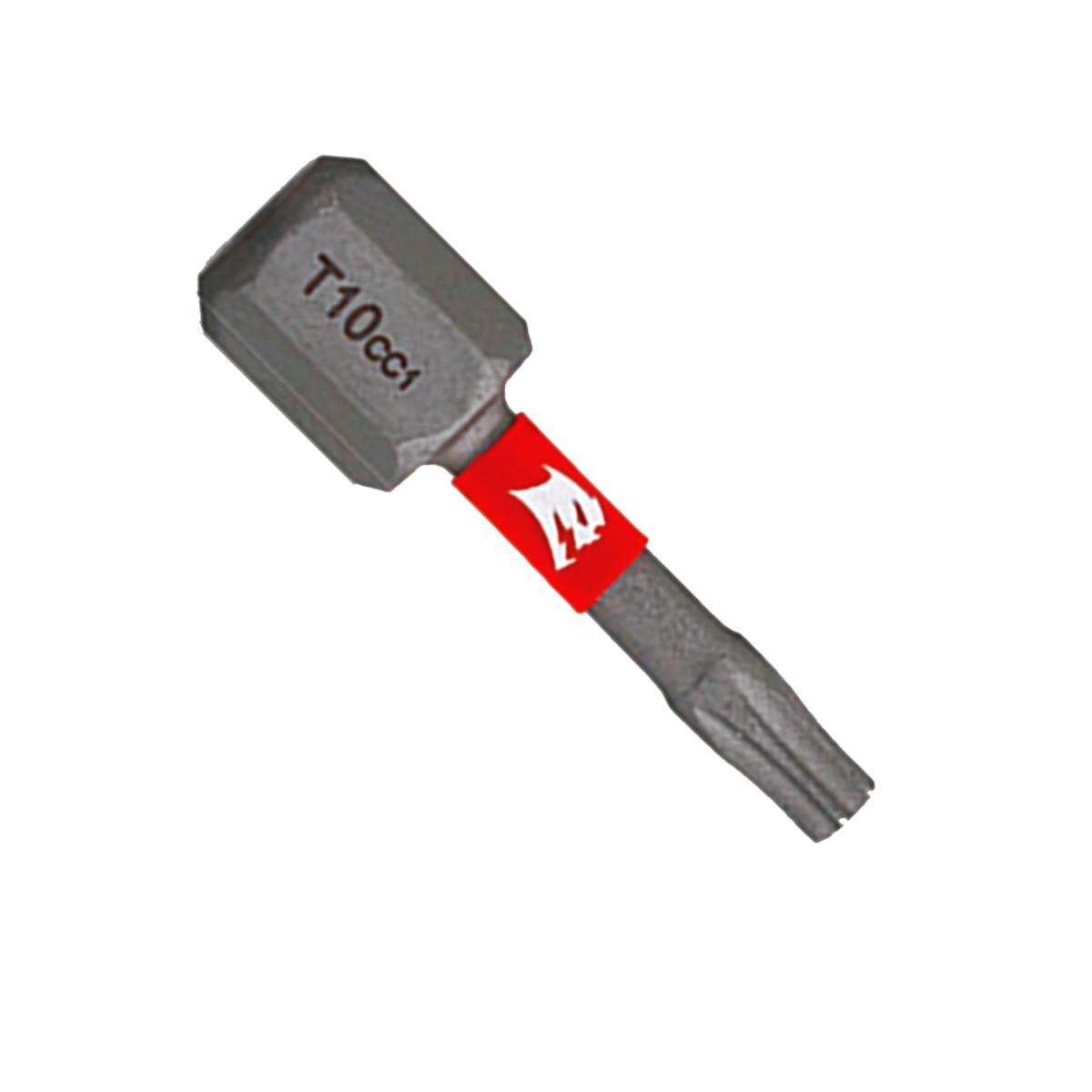 1 in. #10 Torx Drive Bits (2-Pack)
