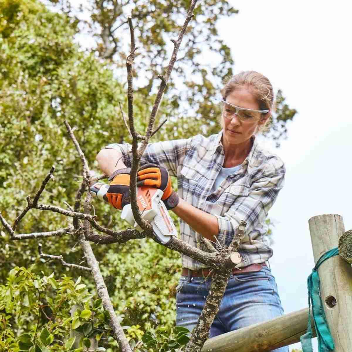 GTA 26 Battery Garden Pruner Set with AS 2 Battery and Charger Alt #2