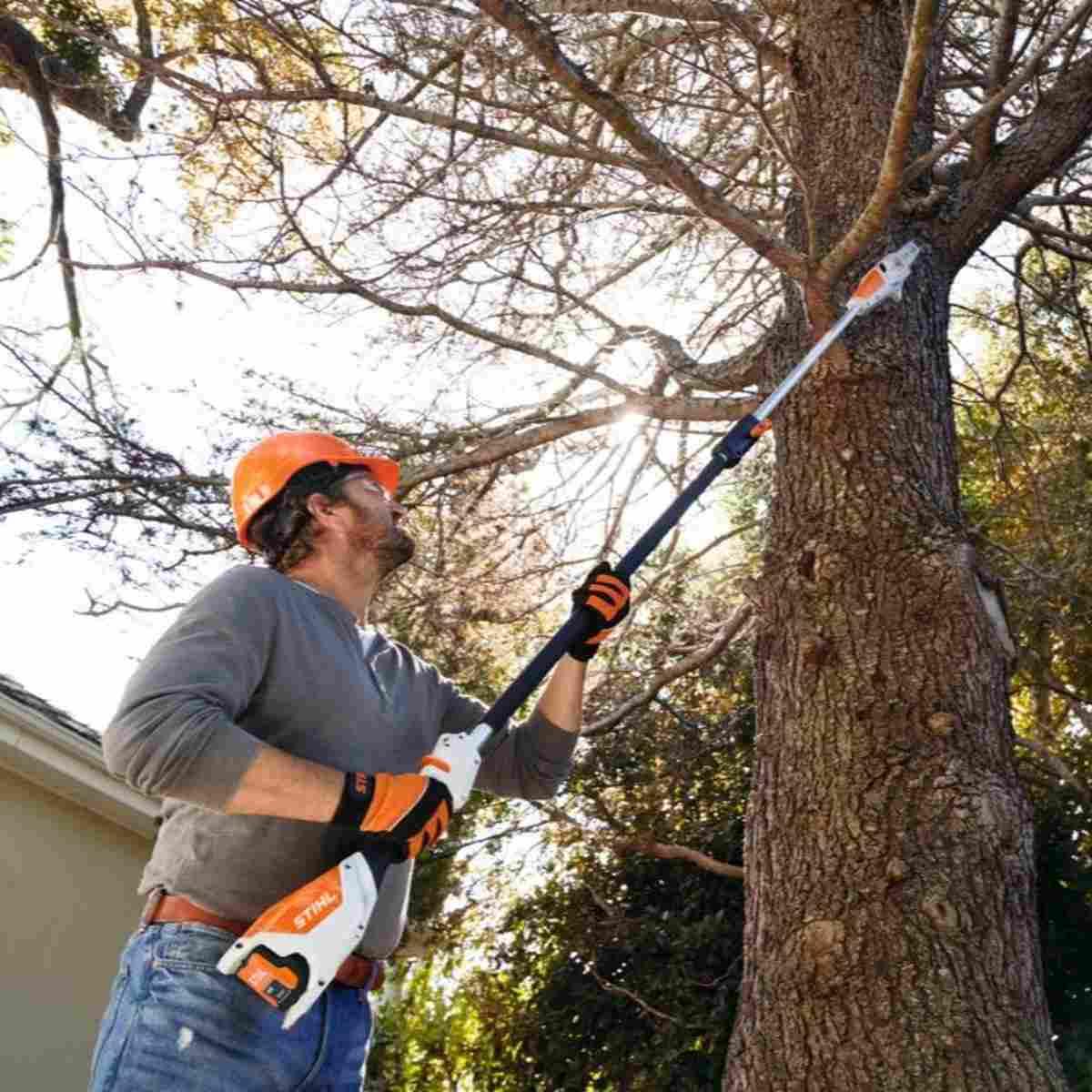 HTA 50 Cordless Pole Pruner Set with AK 20 Battery and AL 101 Charger Alt #1