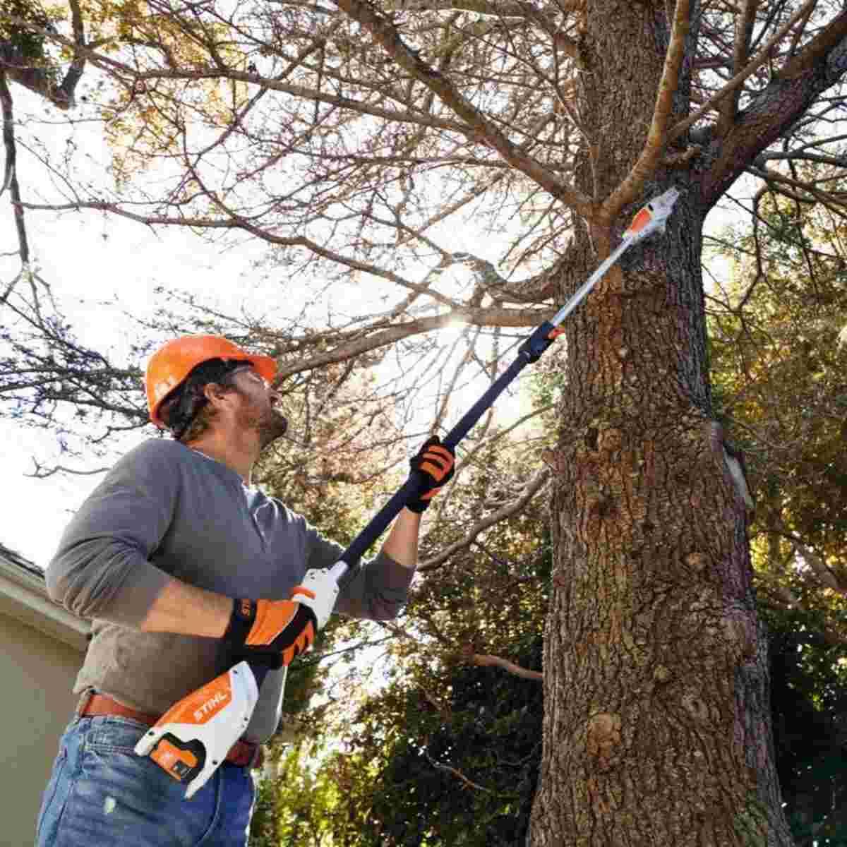HTA 50 Battery Powered Pole Pruner (Tool Only) Alt #1