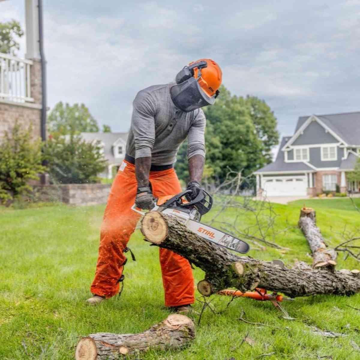 MS 162 30.1cc Gas Chainsaw Alt #1