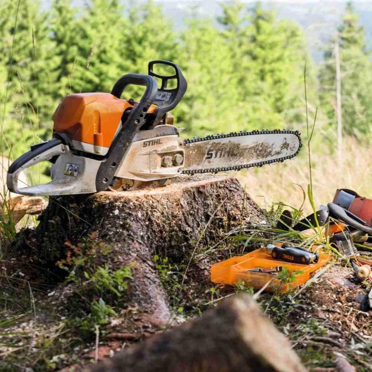 MS 362 C-M 20 33RSC38921 Alt #1