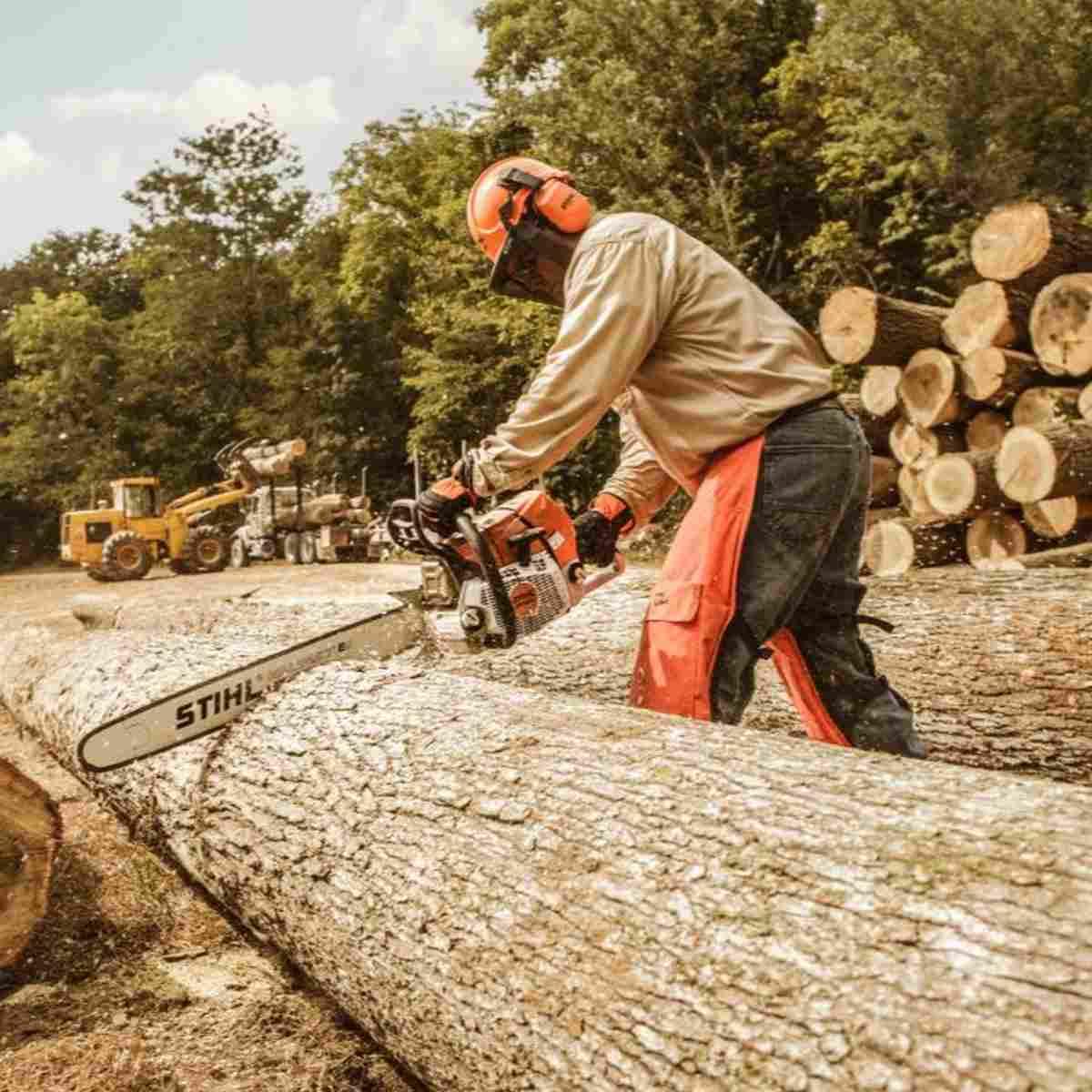 MS 661 36 33RS 8853 3060 PH Alt #2