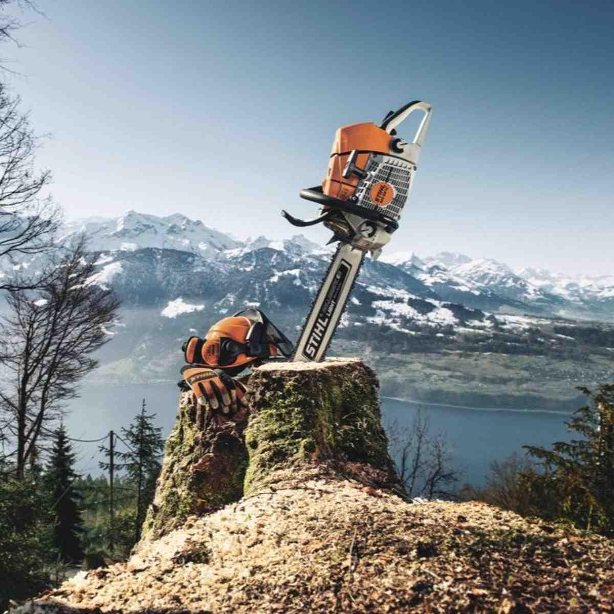 MS 661 36 33RS 8853 3060 PH Alt #1