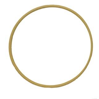 900 / 950 Series Rainbird Bearig Ring