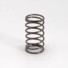 1 1/4 Foot Valve Spring