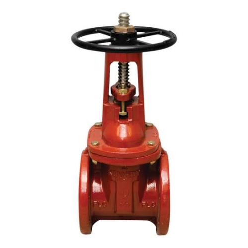 2 1/2 Flange Gate Valve OS&Y W/ SS Hardware Flange Kits