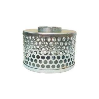 6 Strainer Intake Structure IPS