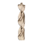 General Purpose Pilot Point Drill Bit, 1/2 in Drill