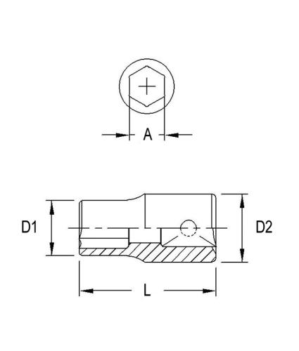 GEN282518