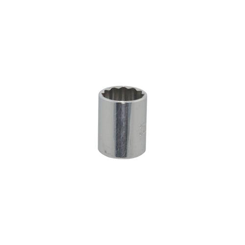 Standard Length Socket,  1/4 in