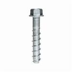 Heavy Duty Screw Anchor, 3/8 in Dia, 2-1/2 in OAL, Hex Washer Head Drive