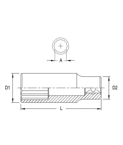 GEN437816