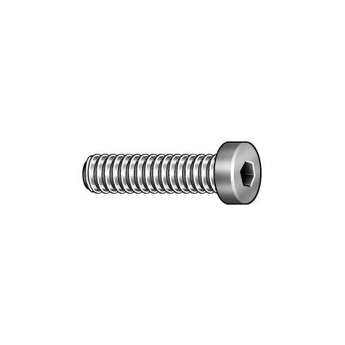 Socket Head Cap Screw