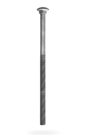 1/2x10" Carriage Bolt GR2 HDG