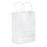 BAG,SHOPPING WHITE W/HDL 250/C