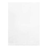 BAG, 18X24 1MIL FLAT LD 1000/C