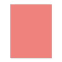 PAPER,8.5X11 90# INDEX SALMON