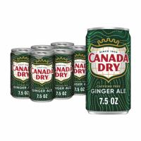 SODA,7.5OZ GINGER ALE  CAN 24/
