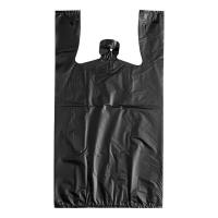 BAG,BK 22 MIC T SAC 12X7X22 50