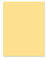 PAPER,LETTER,20LB,BUFF