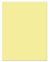 PAPER,LETTER,20LB,CANARY