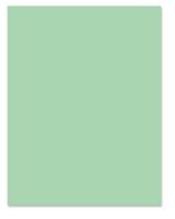 PAPER,LETTER,20LB,GREEN