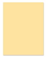 PAPER,LETTER,20LB,IVORY