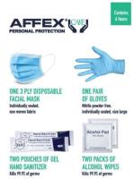 KIT,PPE,6PC,MSK,GLV,WIP,SAN