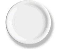 PLATE,8.5,24PT,WHITE,125/PK
