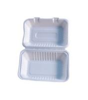 CONTAINER,HOAGIE,9X6,2/125CT