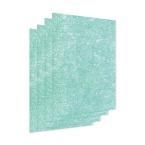 FILTER, PRO AM II, GREEN, 4PK